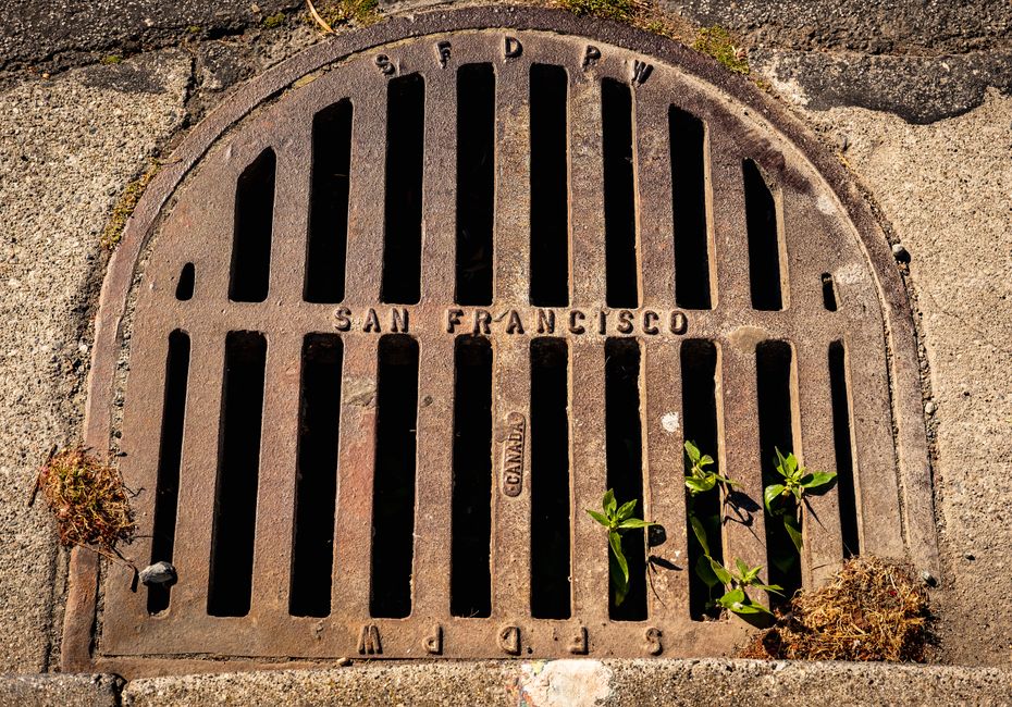 Drain Cleaning